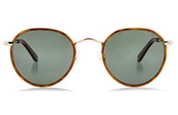 Adler Windsor Sunglasses - Havana 