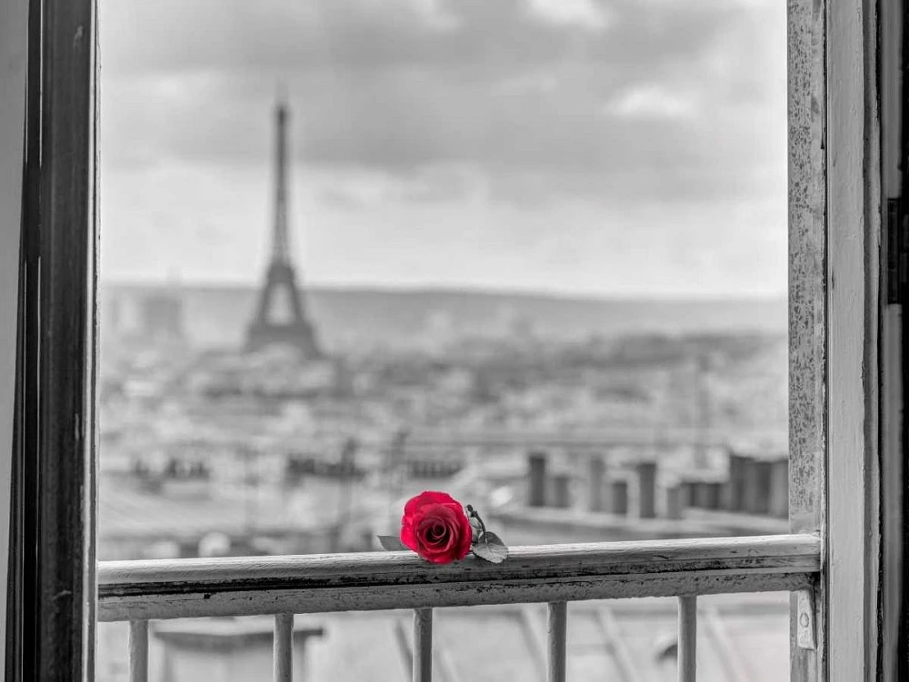 Assaf Frank - Rose on balcony railing with Eiffel Tower background, Paris, France