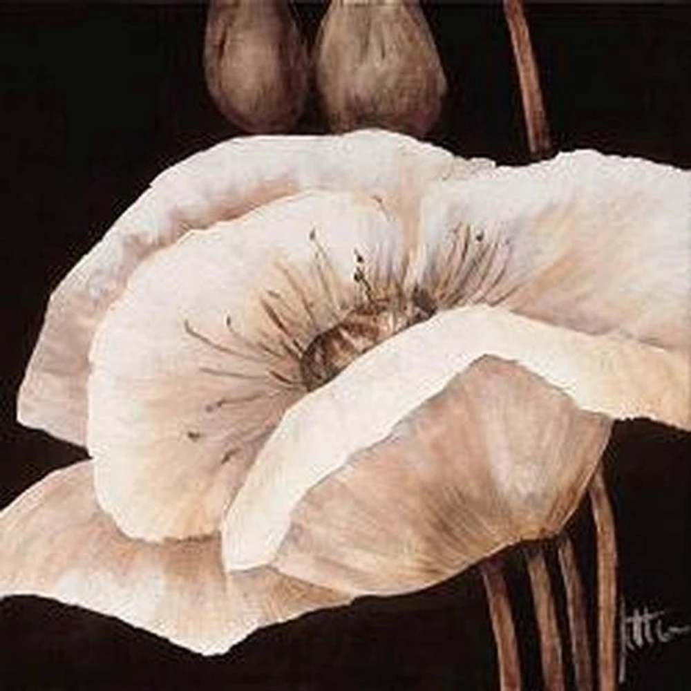 Jettie Roseboom