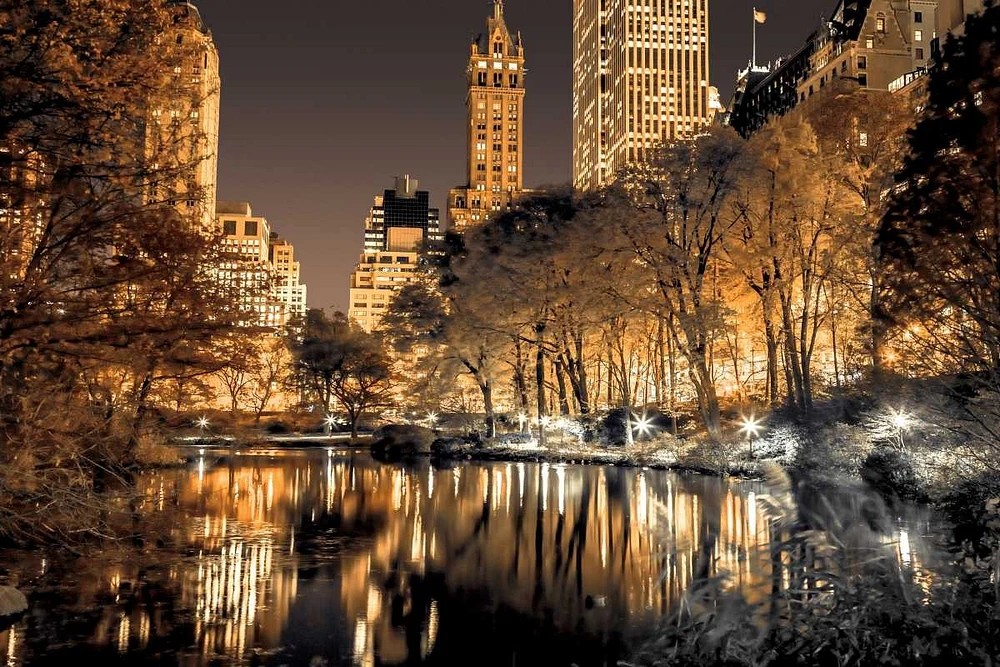 Assaf Frank - Central Park Glow