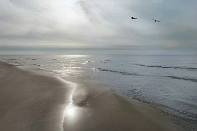 Monte Nagler - Beach Flight