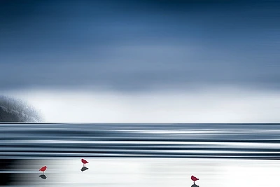 Marvin Pelkey - By The Shore