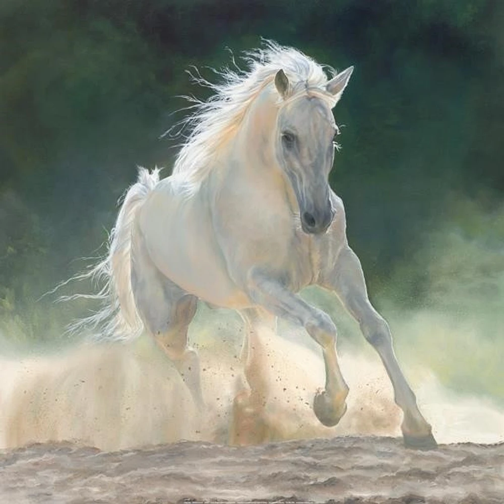 Marie Channer - Rhapsody