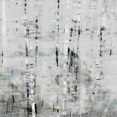 John Bingham - Birch Perspective Grey III