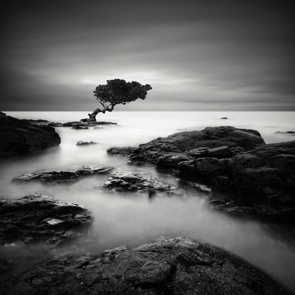 Rob Cherry - Tree Of Temptation