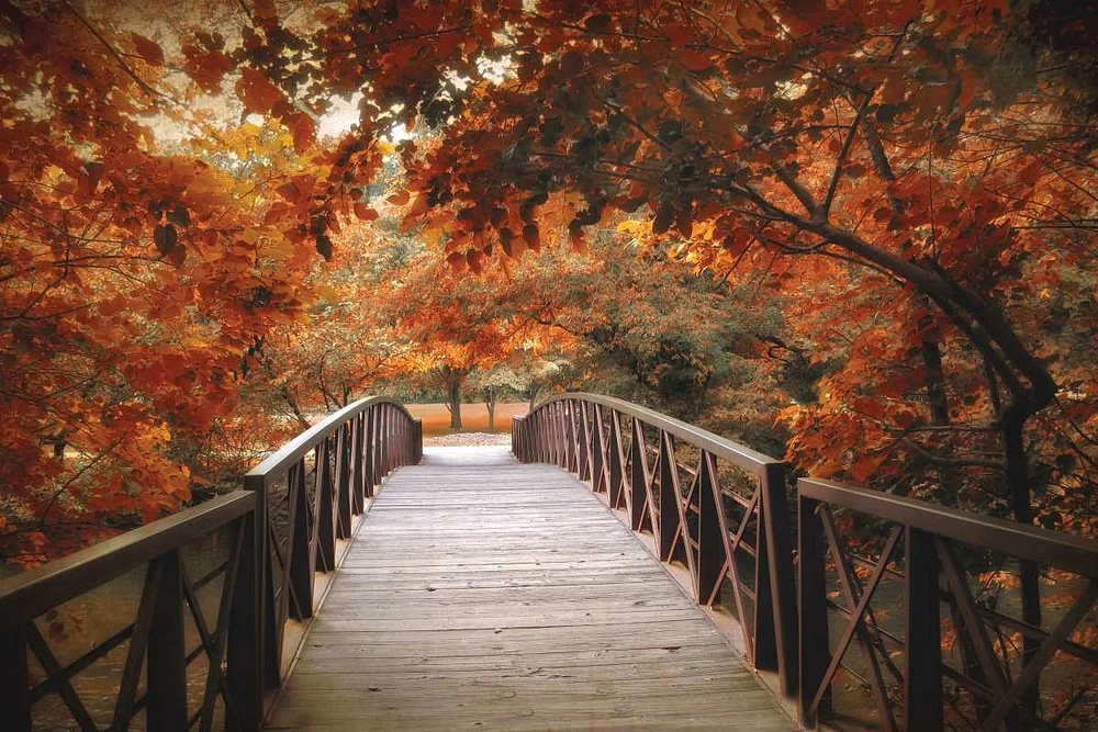 Jessica Jenney - Footbridge