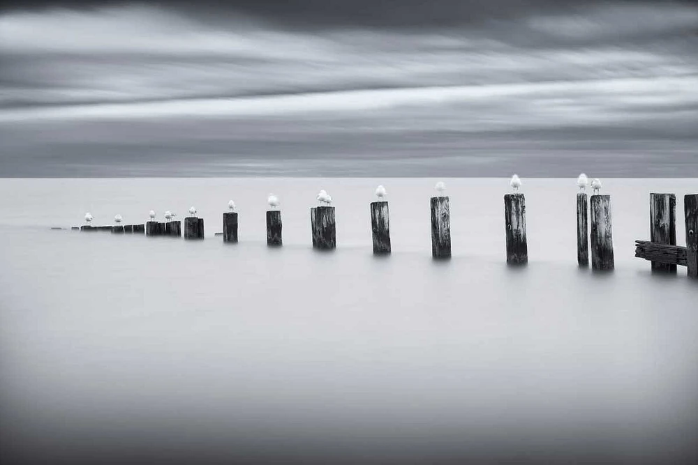 Chris Tennant - Stilts And Gulls