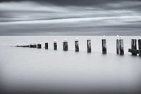 Chris Tennant - Stilts And Gulls
