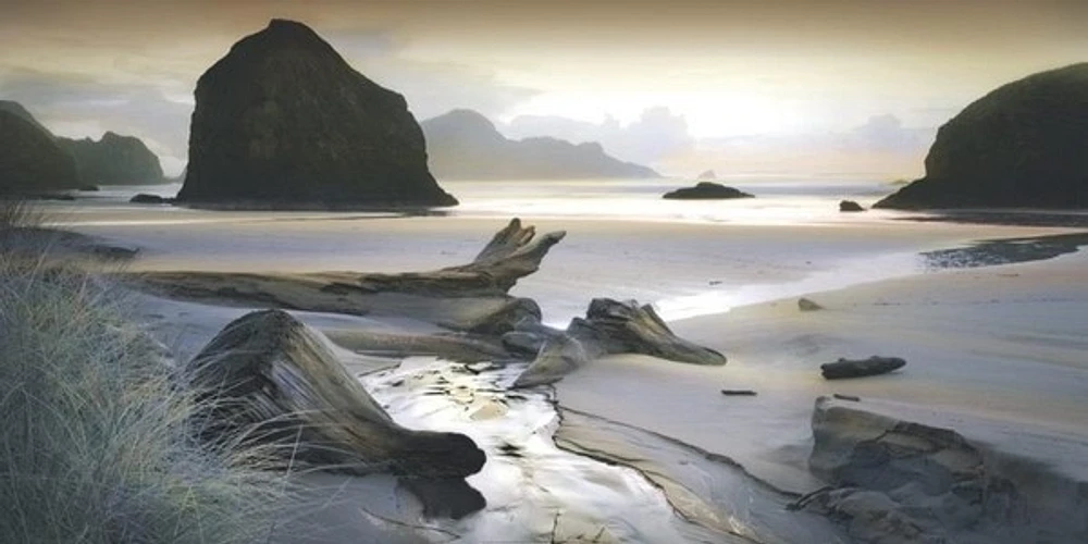 William Vanscoy - She Sleeps In The Sand-Ovsz