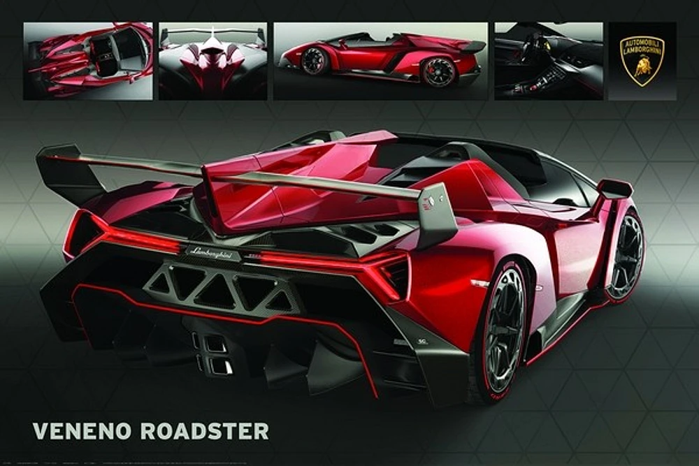 Lamborghini Veneno Roadster