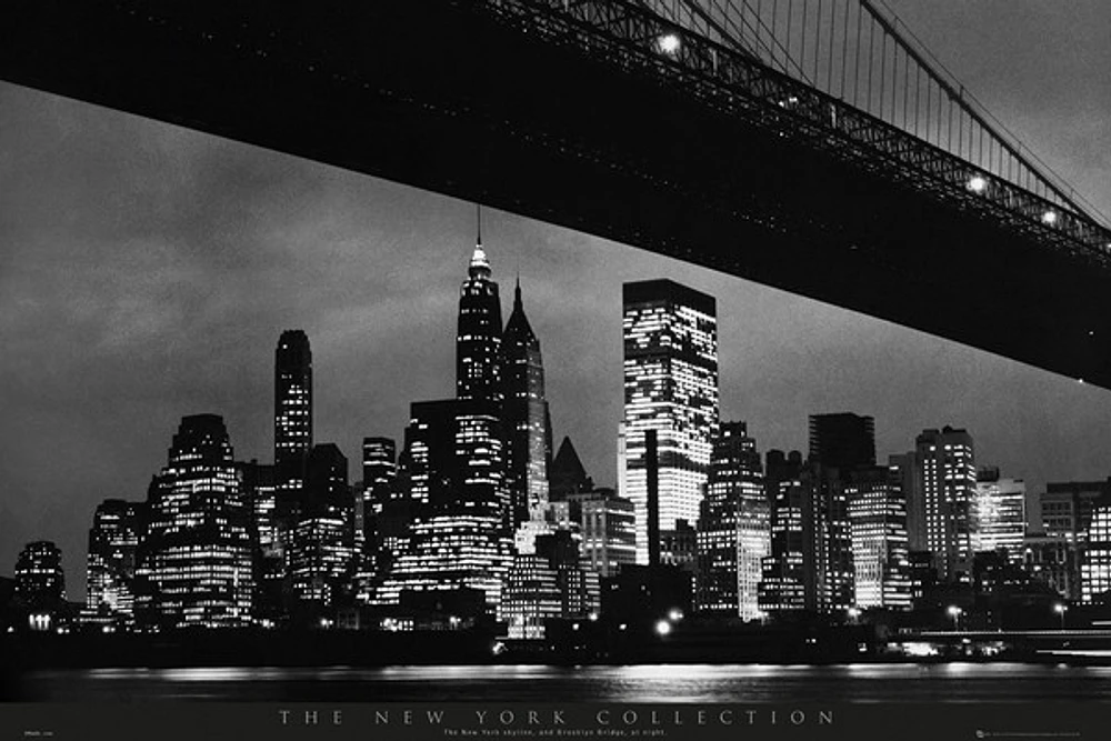 New York Skyline Shower Curtain