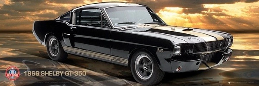 Ford Shelby - GT350