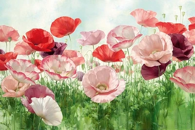 Igor Levashov - Poppies Pleasure  