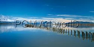 Nordic Peace  