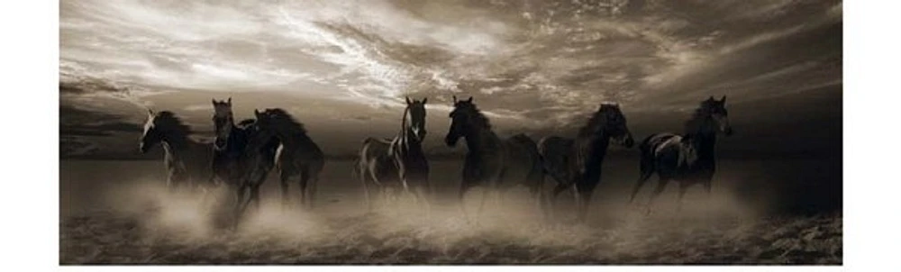 Horses - Wild Stampede
