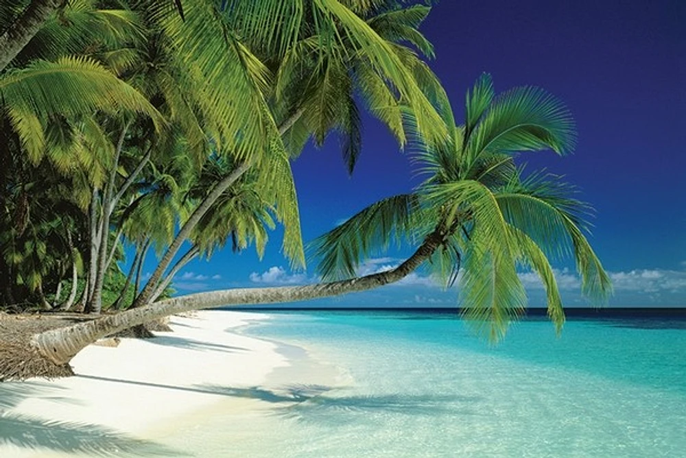 Maldives Beach