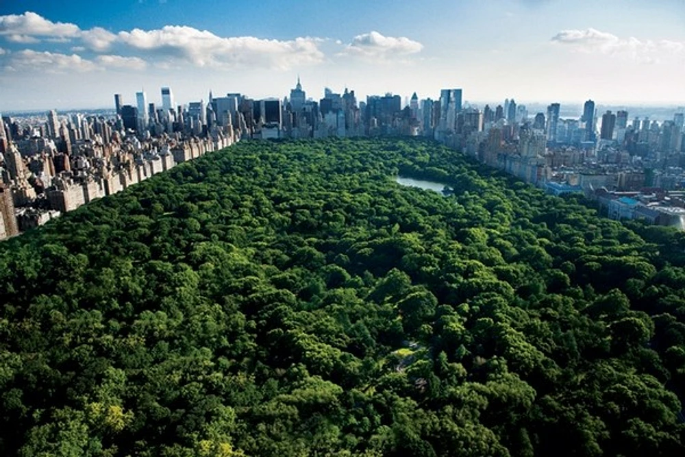 Central Park, New York