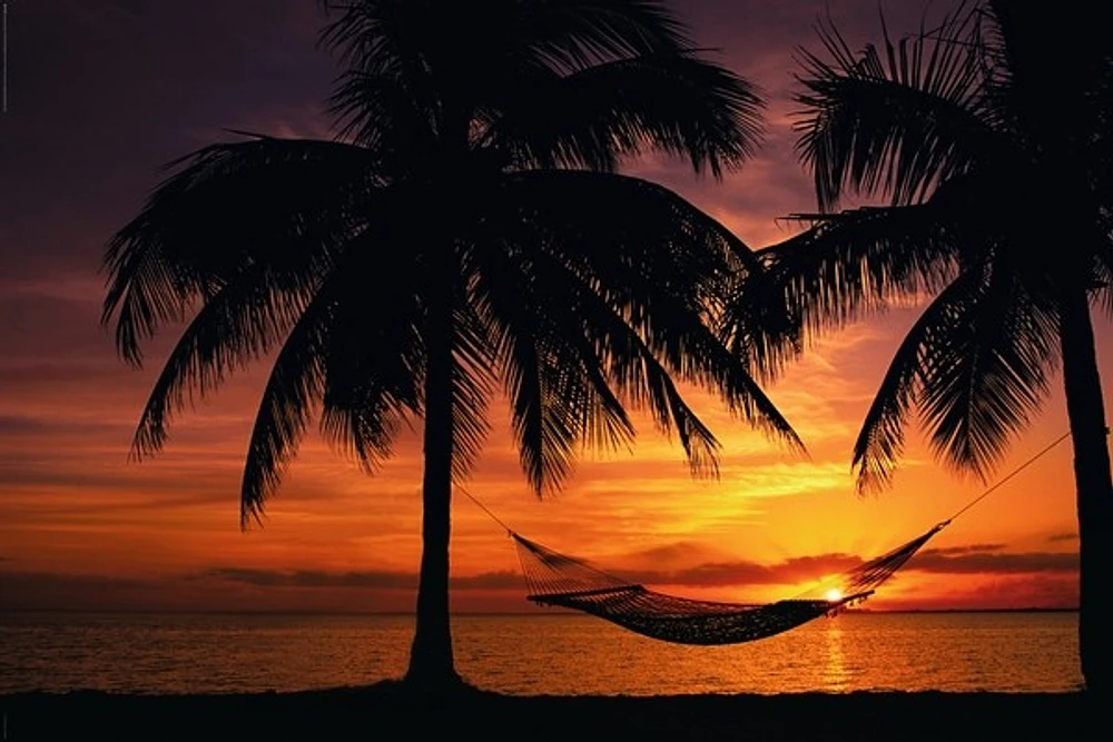 Hammack Sunset
