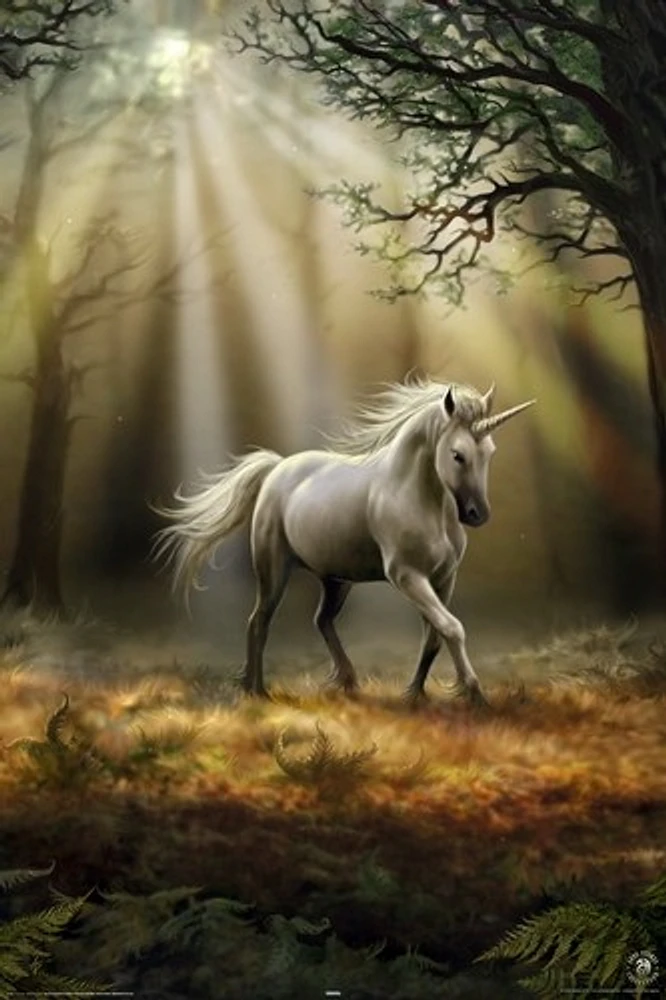 Glimpse Of A Unicorn