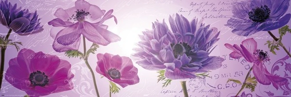 Purple flowers