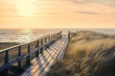 Way To The Sea  
