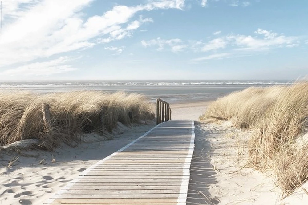 Beaches
