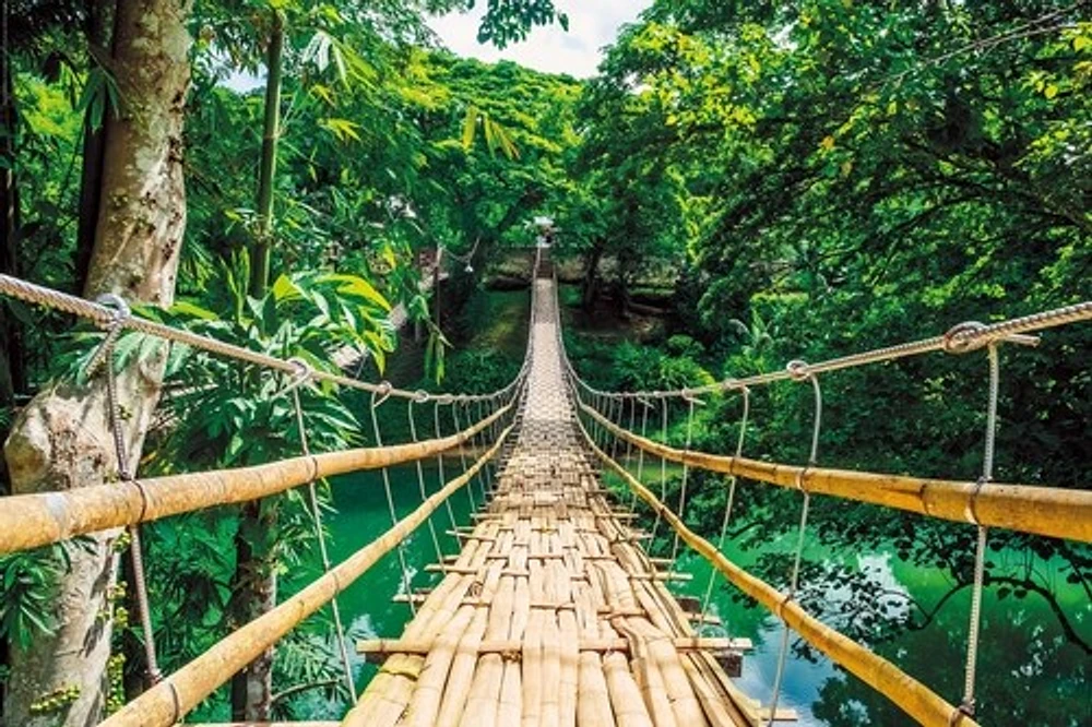 Jungle Bridge