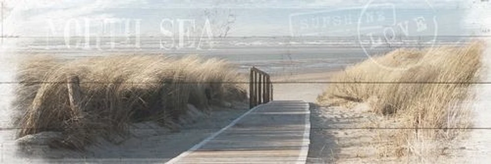 Dunes