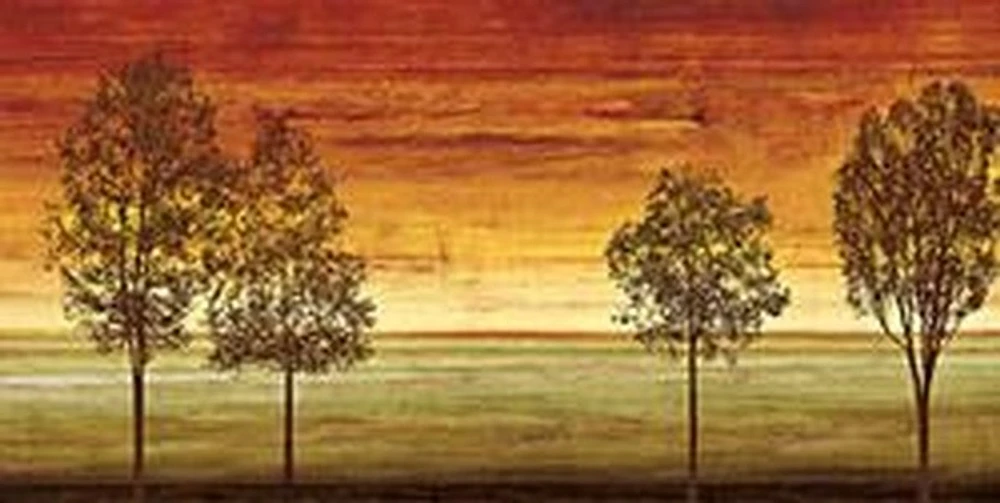 Chris Donovan - Sunset Vista II
