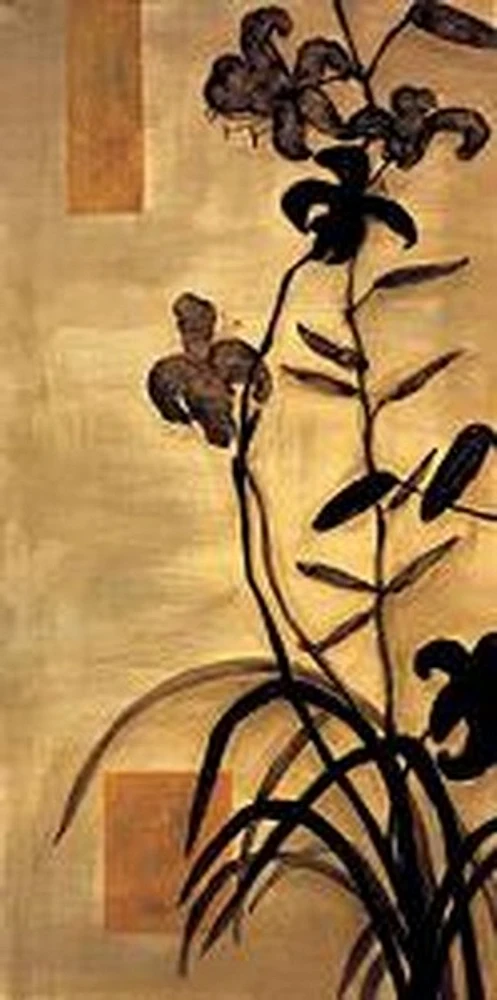 Lys Silhouette II-Erin Lange