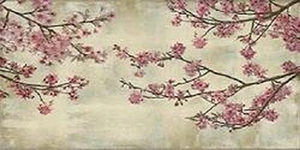 Cherry Blossom