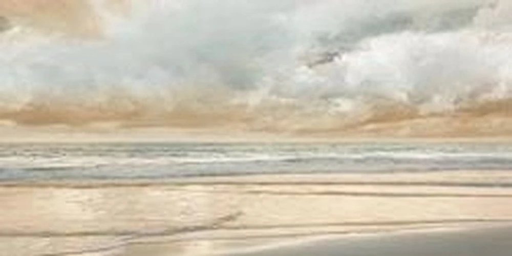 John Seba - Ocean Tide