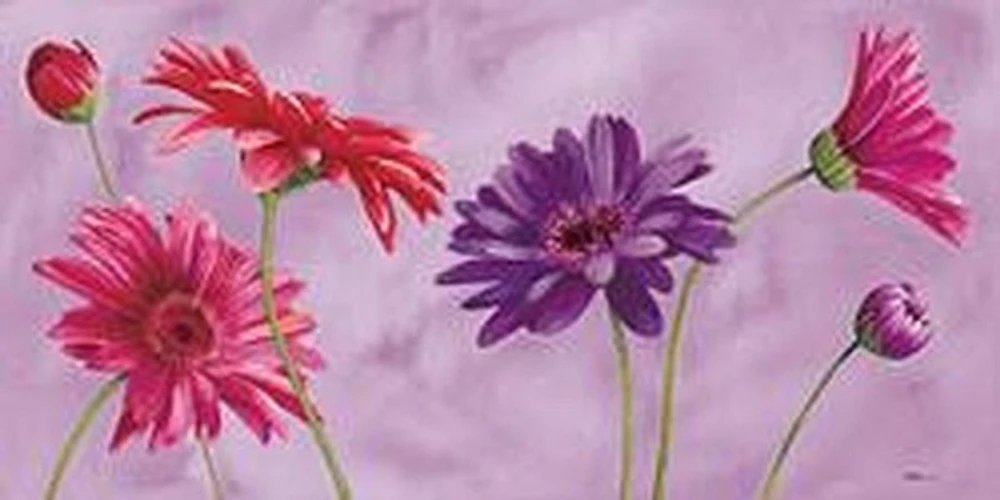 Purple Primavera