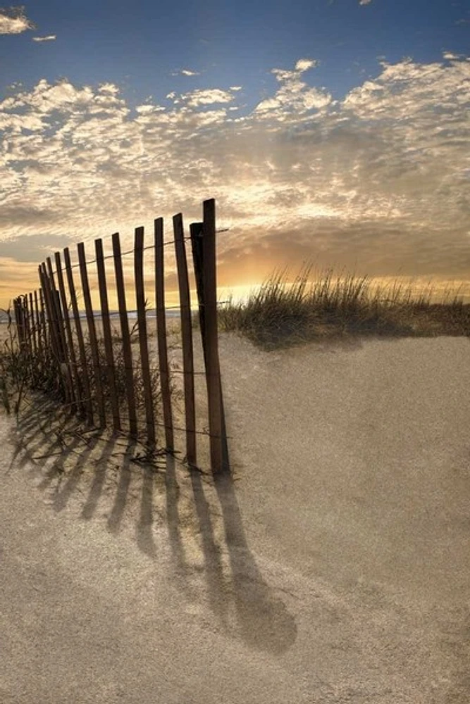 Celebrate Life Gallery - Dune Fence At Sunrise