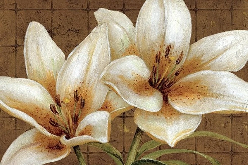 Daphne Brissonnet - White Gold