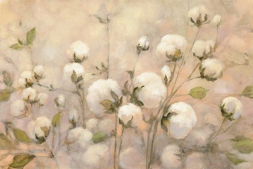 Julia Purinton - Cotton Field Crop