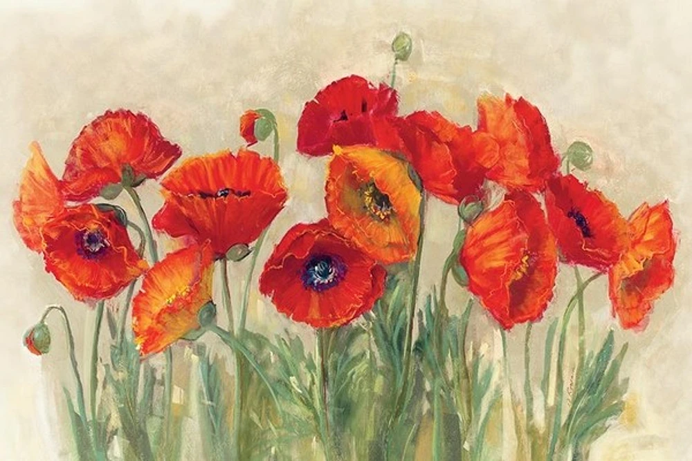 Lisa Audit - Vibrant Poppies