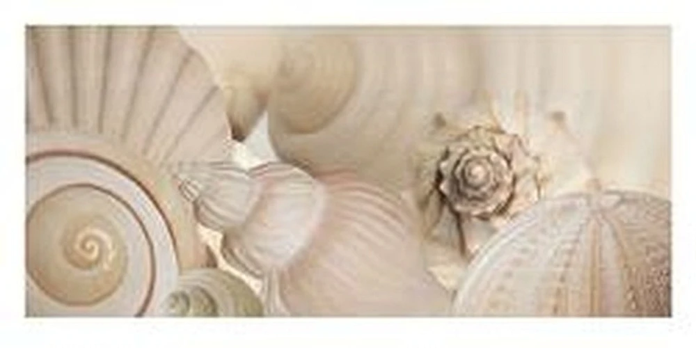 White Shell