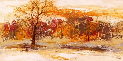 Lucas - Foresta II