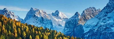 Frank Krahmer - Larch forest and Cima bel Pra, Italy
