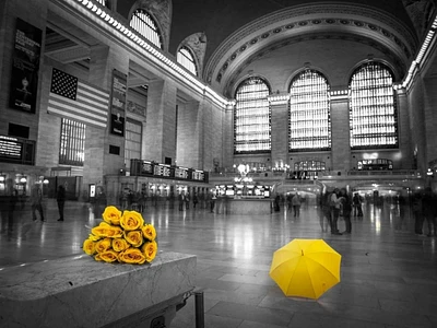 Assaf Frank - Bunch of yellow roses and umbrella Grand Central Terminal, New York