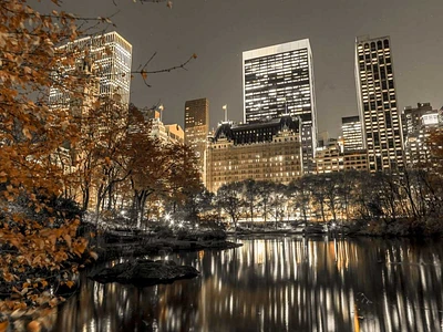 Assaf Frank - Evening view of Central Park New York City