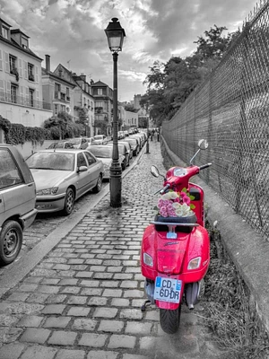 Assaf Frank - Bunch of Roses on scooter, Paris