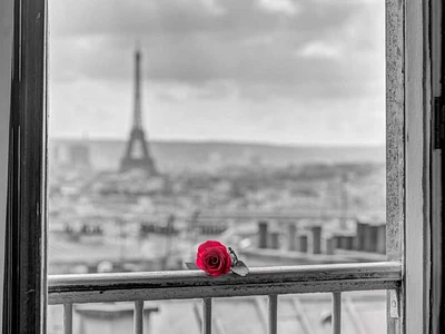 Assaf Frank - Rose on balcony railing with Eiffel Tower background, Paris, France