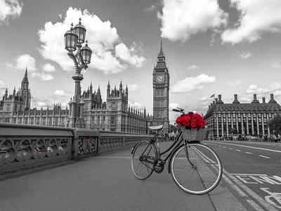 Assaf Frank - Bicycle with bunch of flowers on Westminster Bridge, London, UK