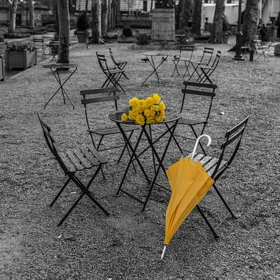 Assaf Frank - Bunch of roses and umbrella on table chair at the park, New York