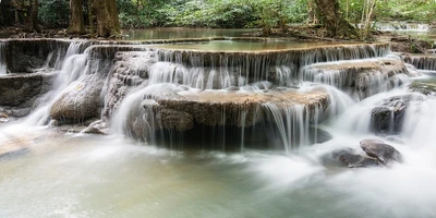 Renée Pehr - Waterfall, Thailand Forest