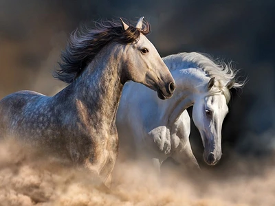 Edith Leanne - Horses Running at Dusk
