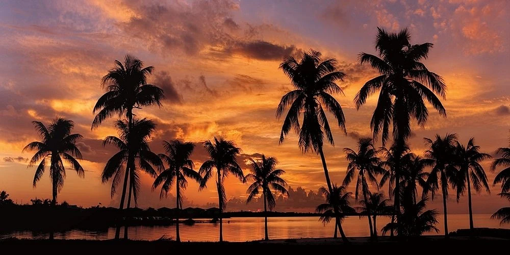 Mike Jones - Tropical Sunsets I