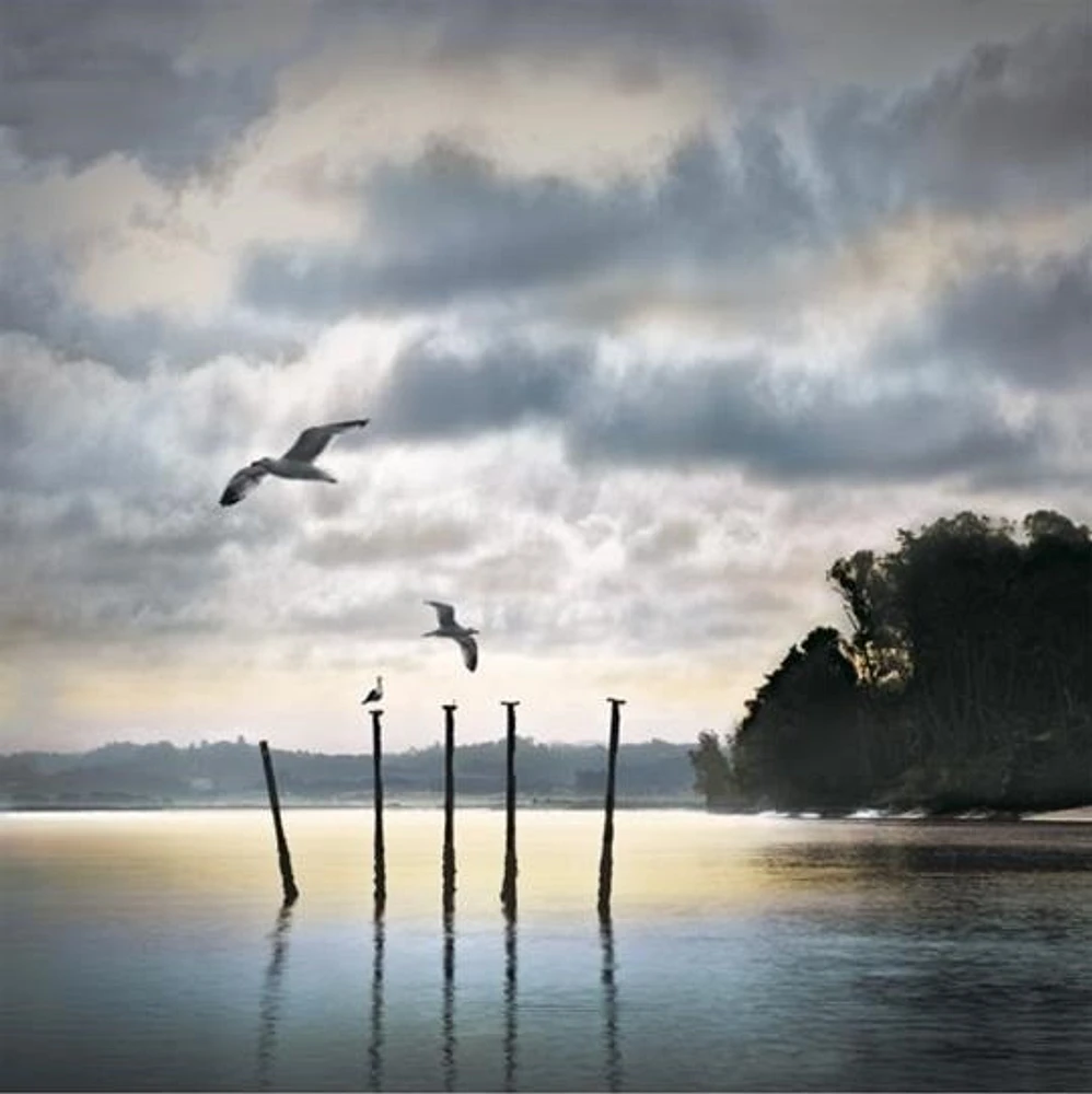 William Vanscoy - Circling Skies